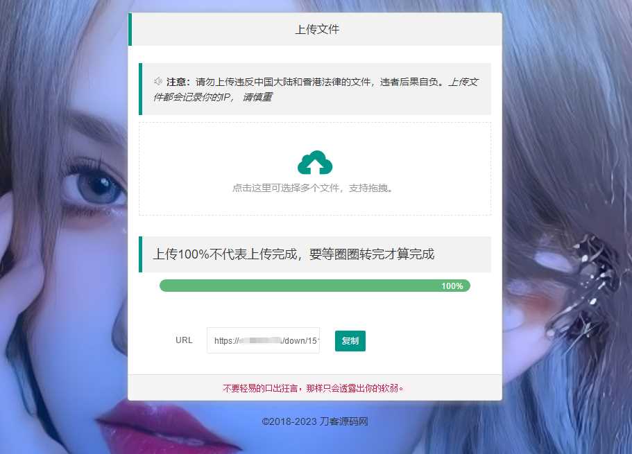 2023最新临时文件上传存储分享系统 临时文件网盘系统源码 - 项目资源网