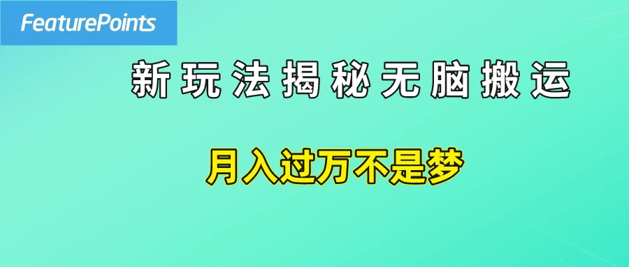 简单操作，每天50美元收入，搬运就是赚钱的秘诀！ - 项目资源网