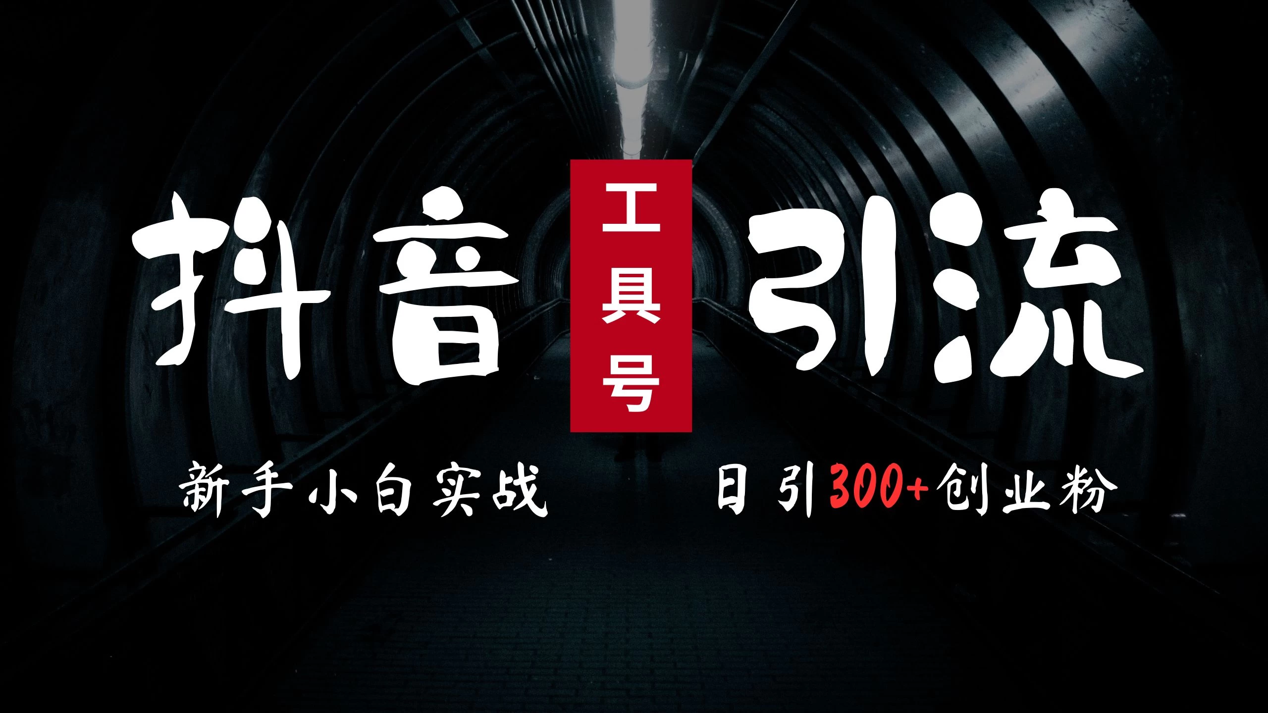 2024最新抖音工具号引流玩法，高效日引300+创业粉，当天变现5000+，小白也可成为实战高手 - 项目资源网