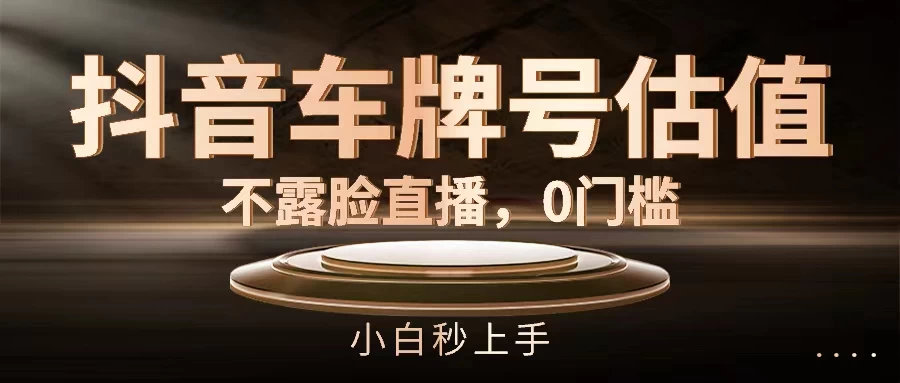 抖音车牌号估值，不露脸直播，0门槛，小白秒上手 - 项目资源网