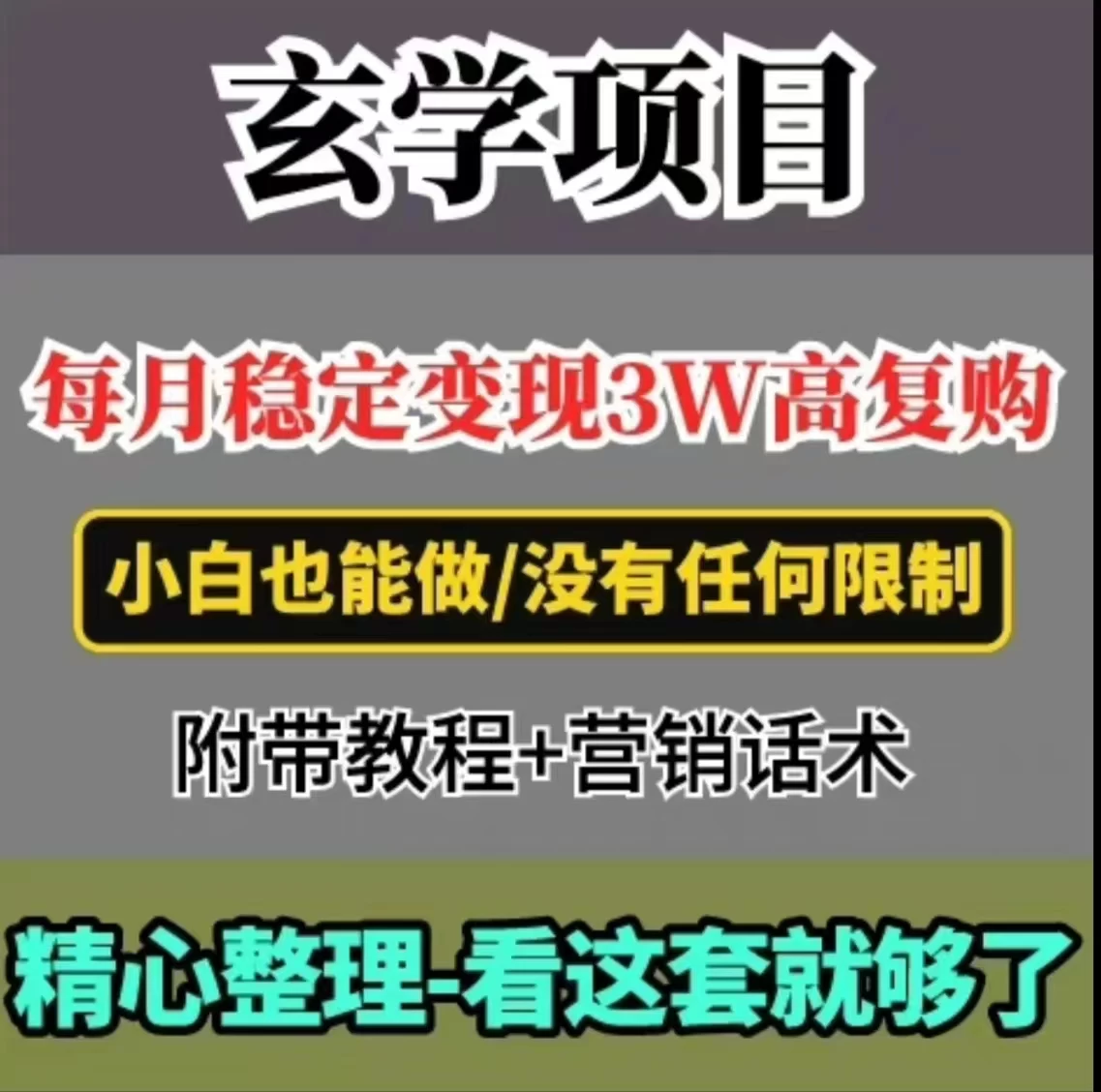 每月稳定变现3W+，高复购玄学项目，小白也能做 - 项目资源网