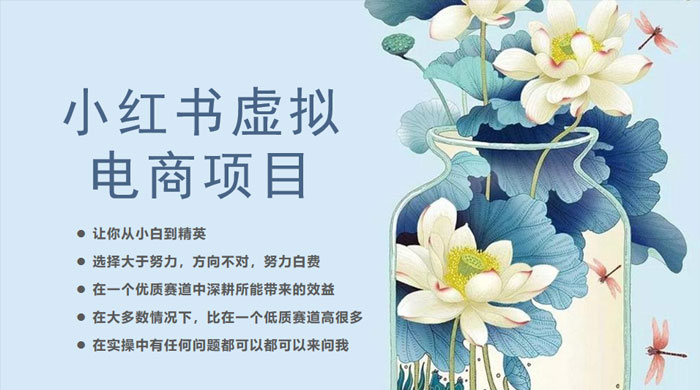 小红书虚拟电商从 0 到 1 ：让你从小白到精英（ 20 节实操课程） - 项目资源网