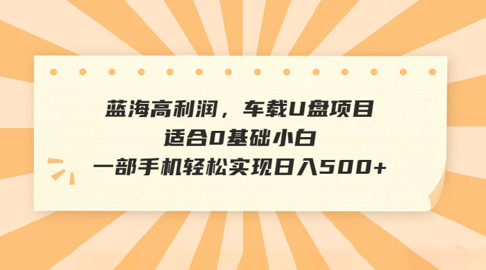 蓝海高利润，车载 U 盘项目，适合 0 基础小白 - 项目资源网