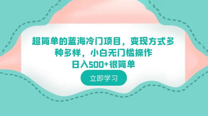 超简单的蓝海冷门项目：变现方式多种多样，小白无门槛操作很简单 - 项目资源网