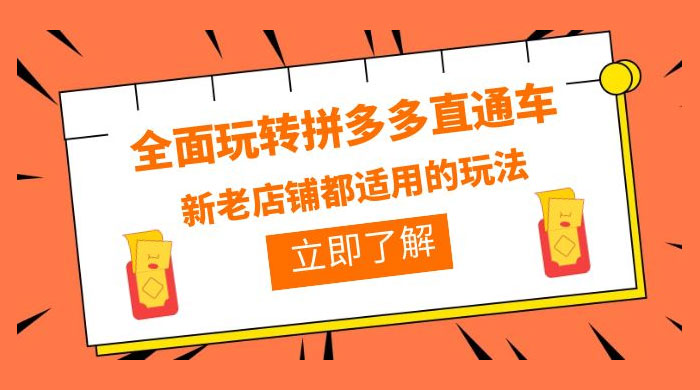 全面玩转拼多多直通车：新老店铺都适用的玩法 12 节精华课 - 项目资源网