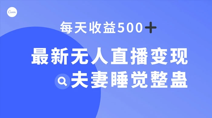 最新无人直播变现，夫妻睡觉整蛊，每天躺赚 500+ - 项目资源网