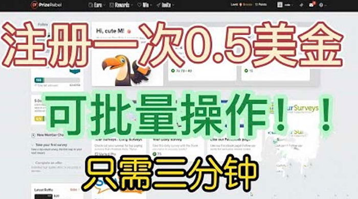 国外注册一次 0.5 美金项目：只需三分钟无脑操作、小白工作室福利 - 项目资源网