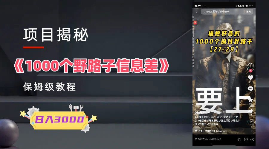 1000 个野路子信息差保姆式教程：单日变现 3000+ 的玩法解密 - 项目资源网